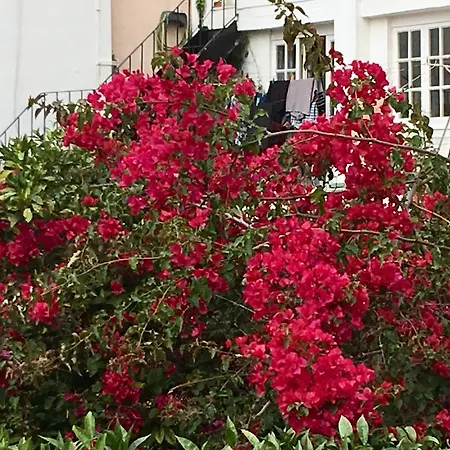 Apartman Flores *