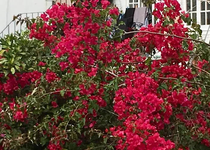 Apartman Flores *